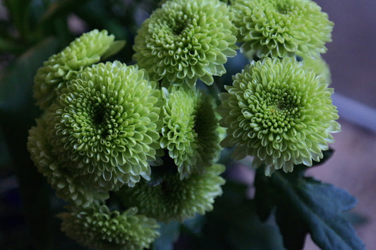 Green Flowers