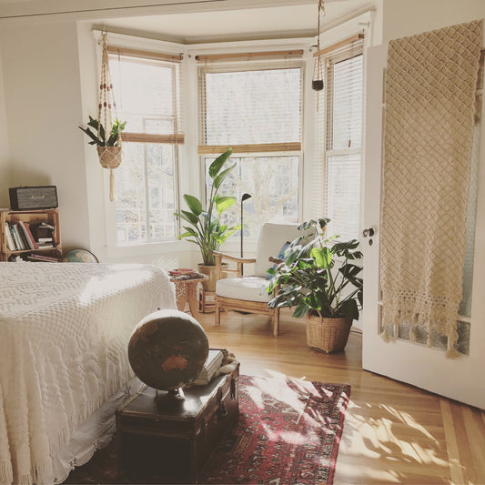 House plants in a bedroom
