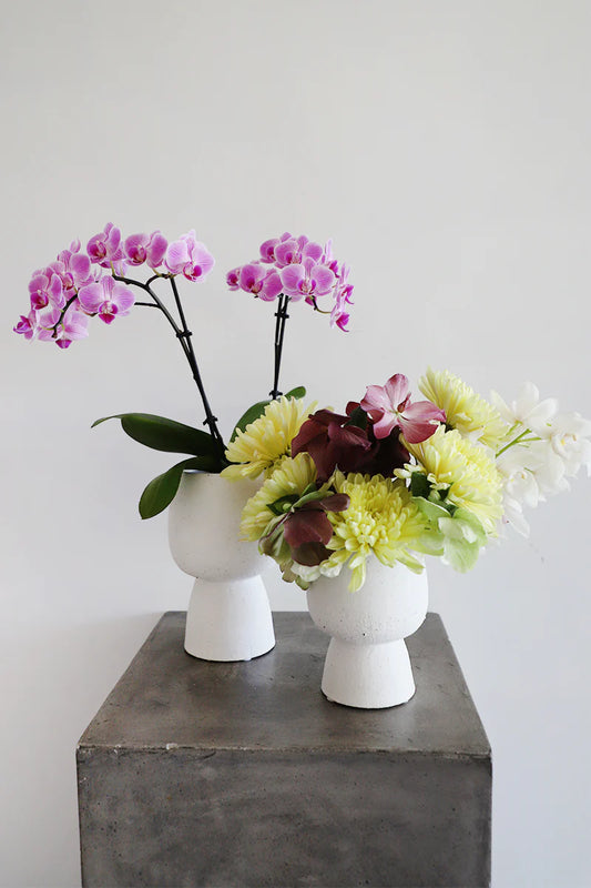 Iris Ceramic Pedestal Vase