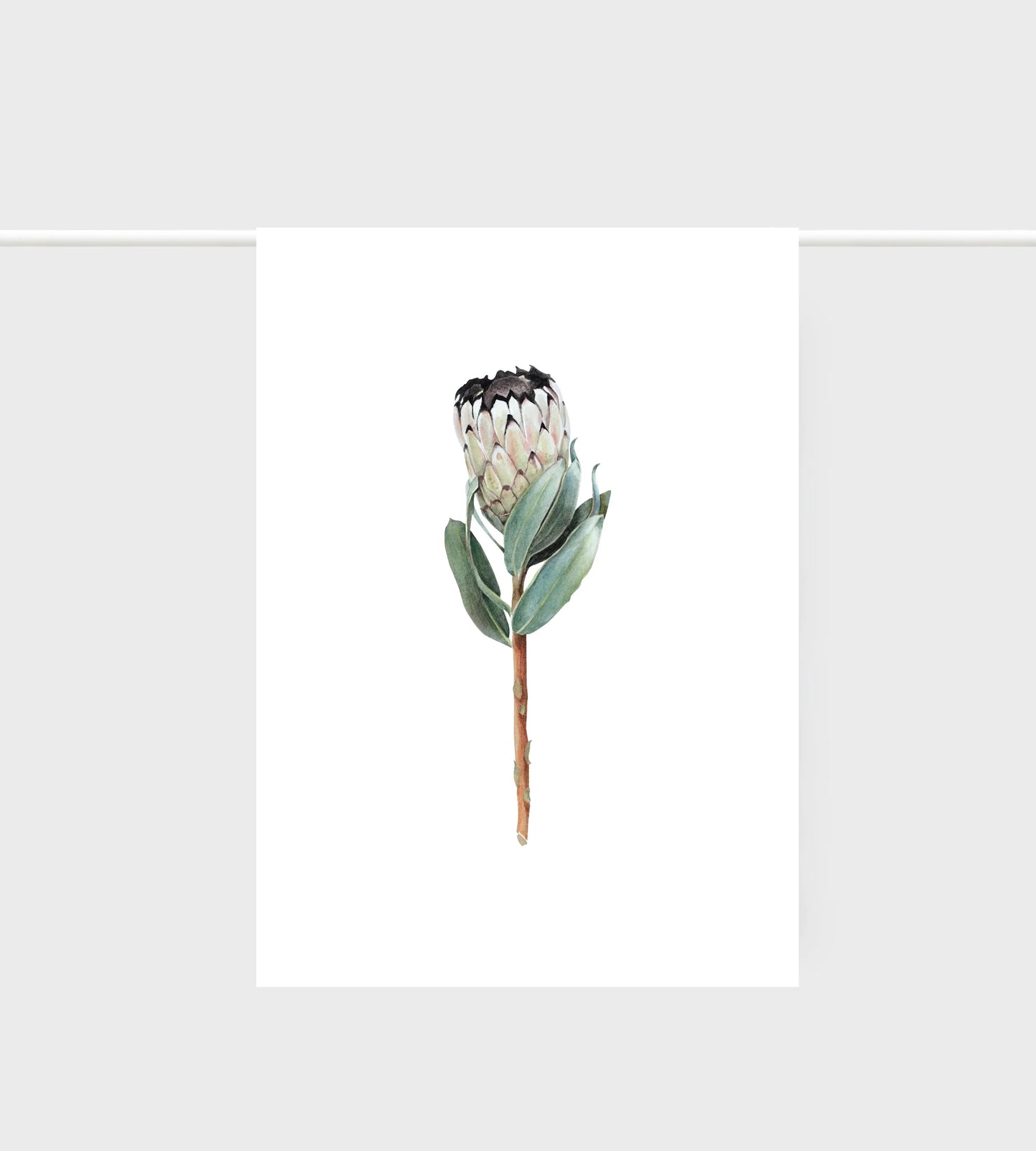 Linen Botanical Tea Towel