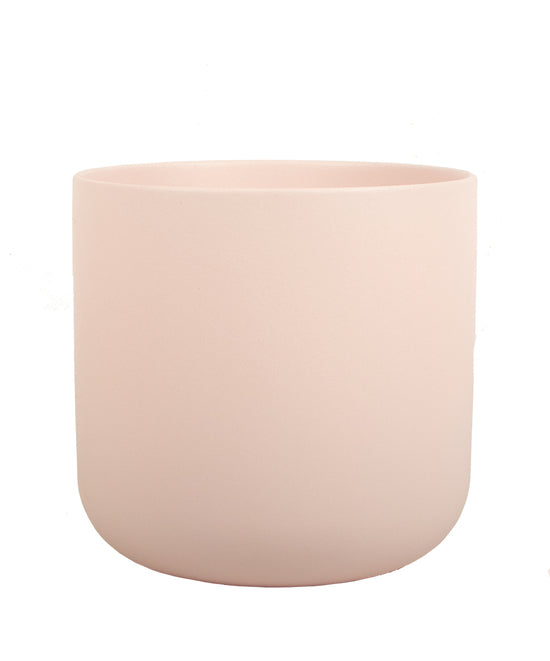 Ivy Cover Pot
