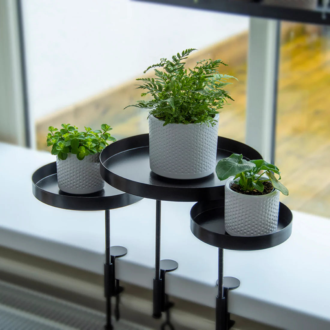 Windowsill clamps for house plants