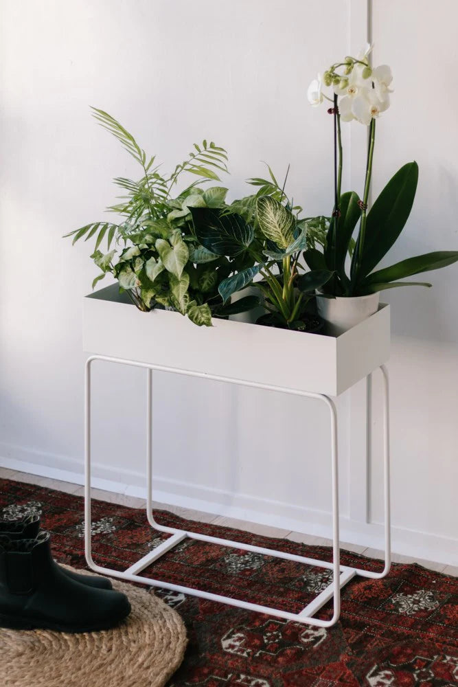 White Metal Planter filled with house plants and orchids