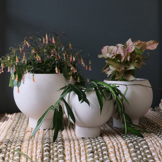 Orbit Planter