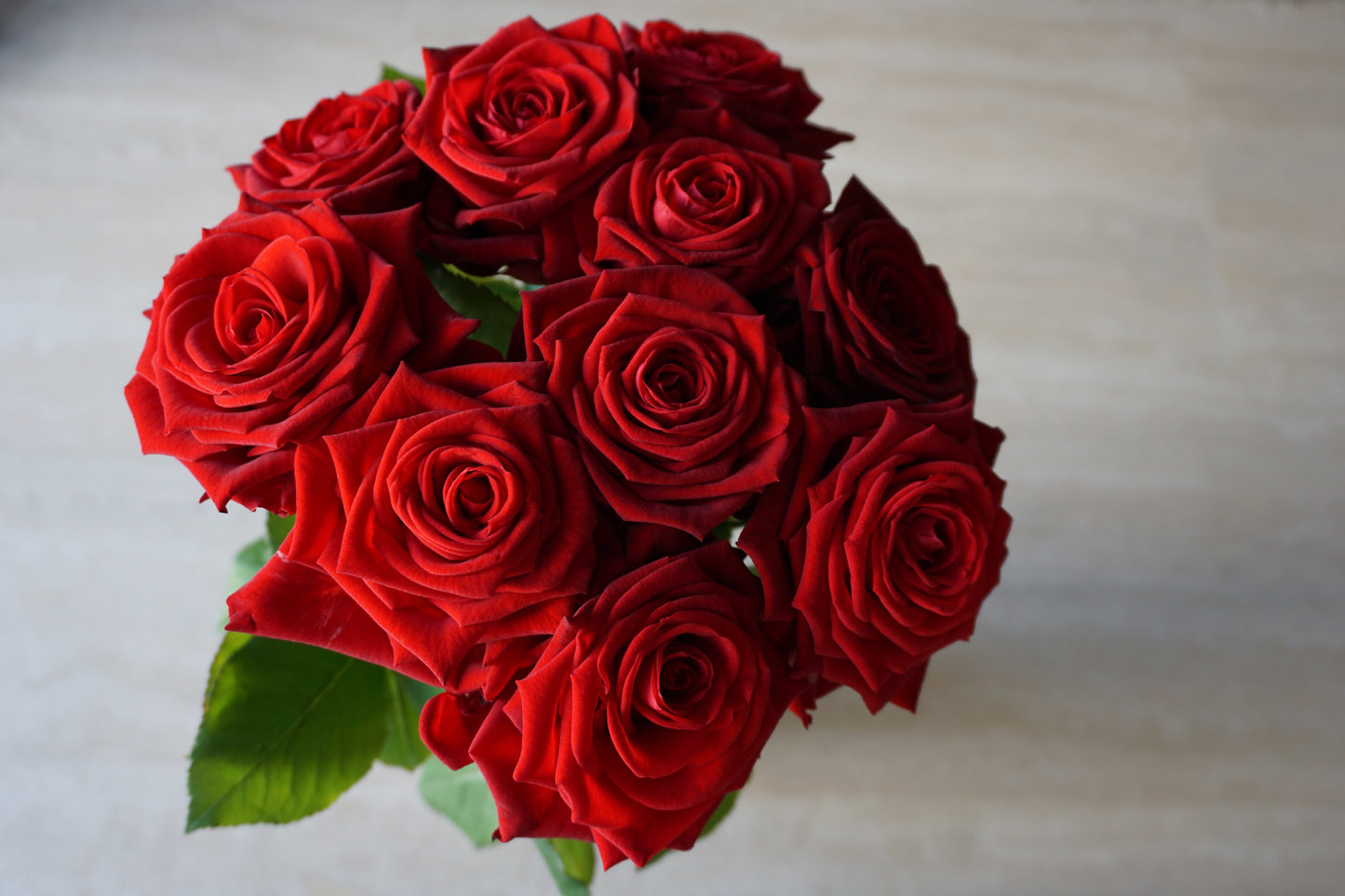 Red Rose Bouquet – Fresh Flowers