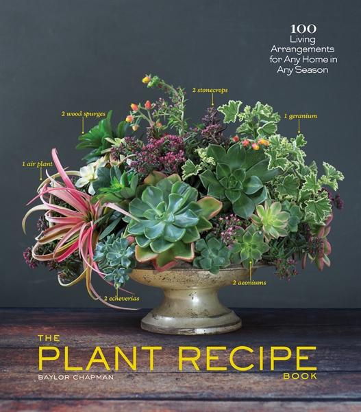 Recipe　Twig　Book　–　Plant　The　Bloom