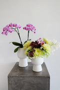 Iris Pedestal