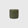 Olso cover pot for house plants avocado