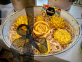 Beetopia Gift Set