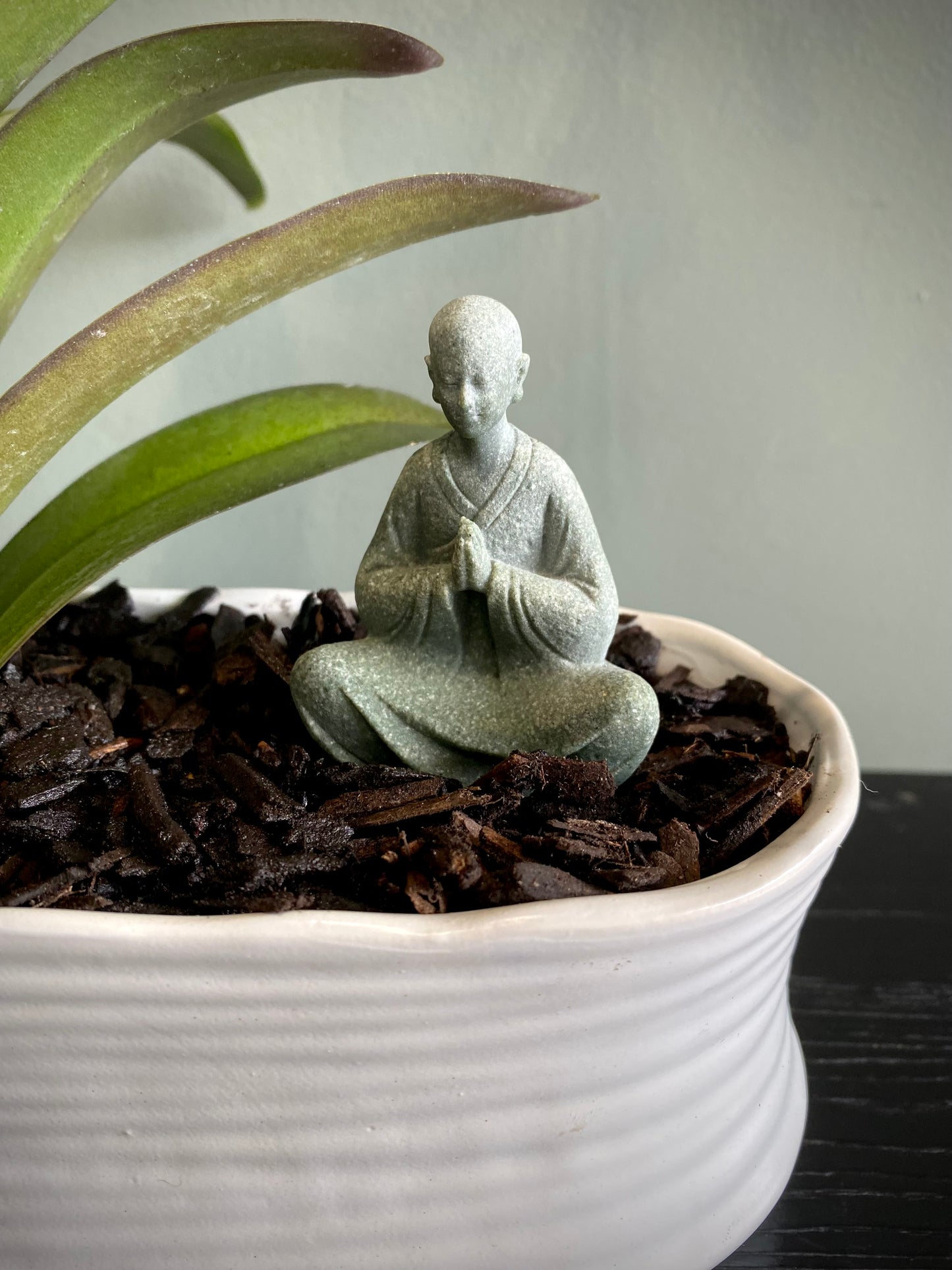 Ashley Mini Orchid Set