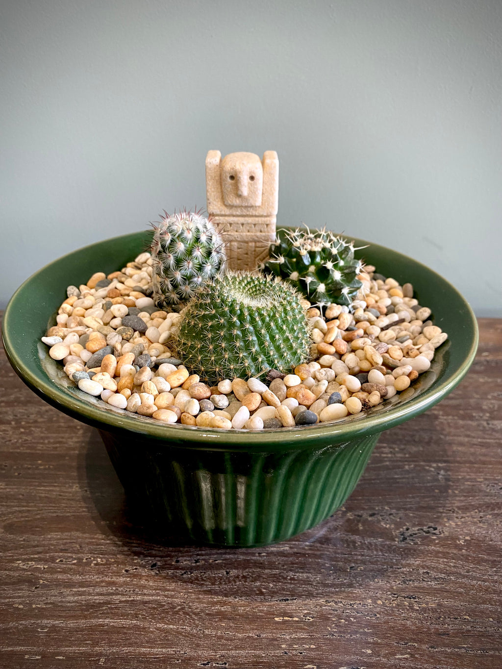 Cacti Plant Set
