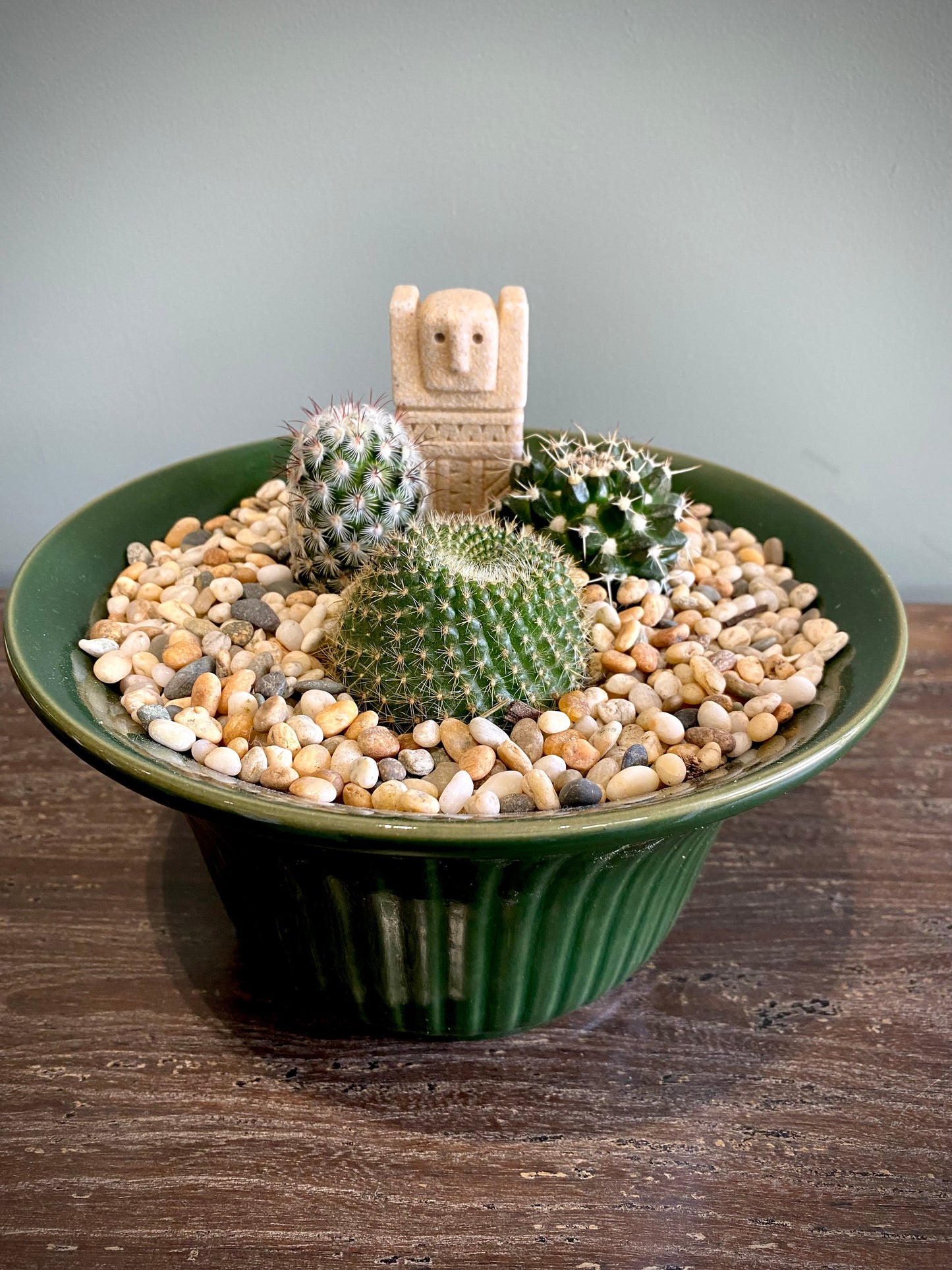 3 Cacti Plant Set