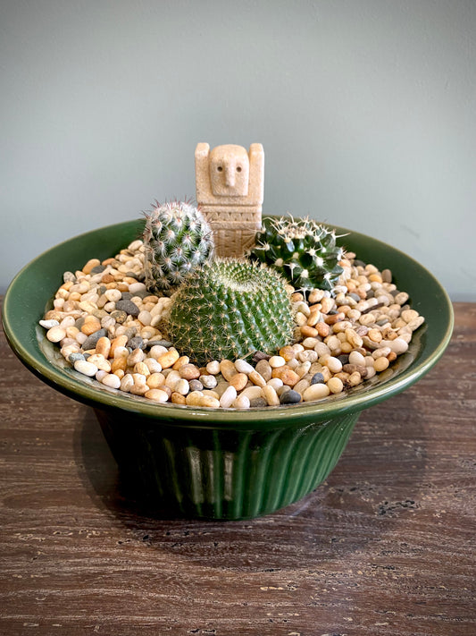 3 Cacti Plant Set