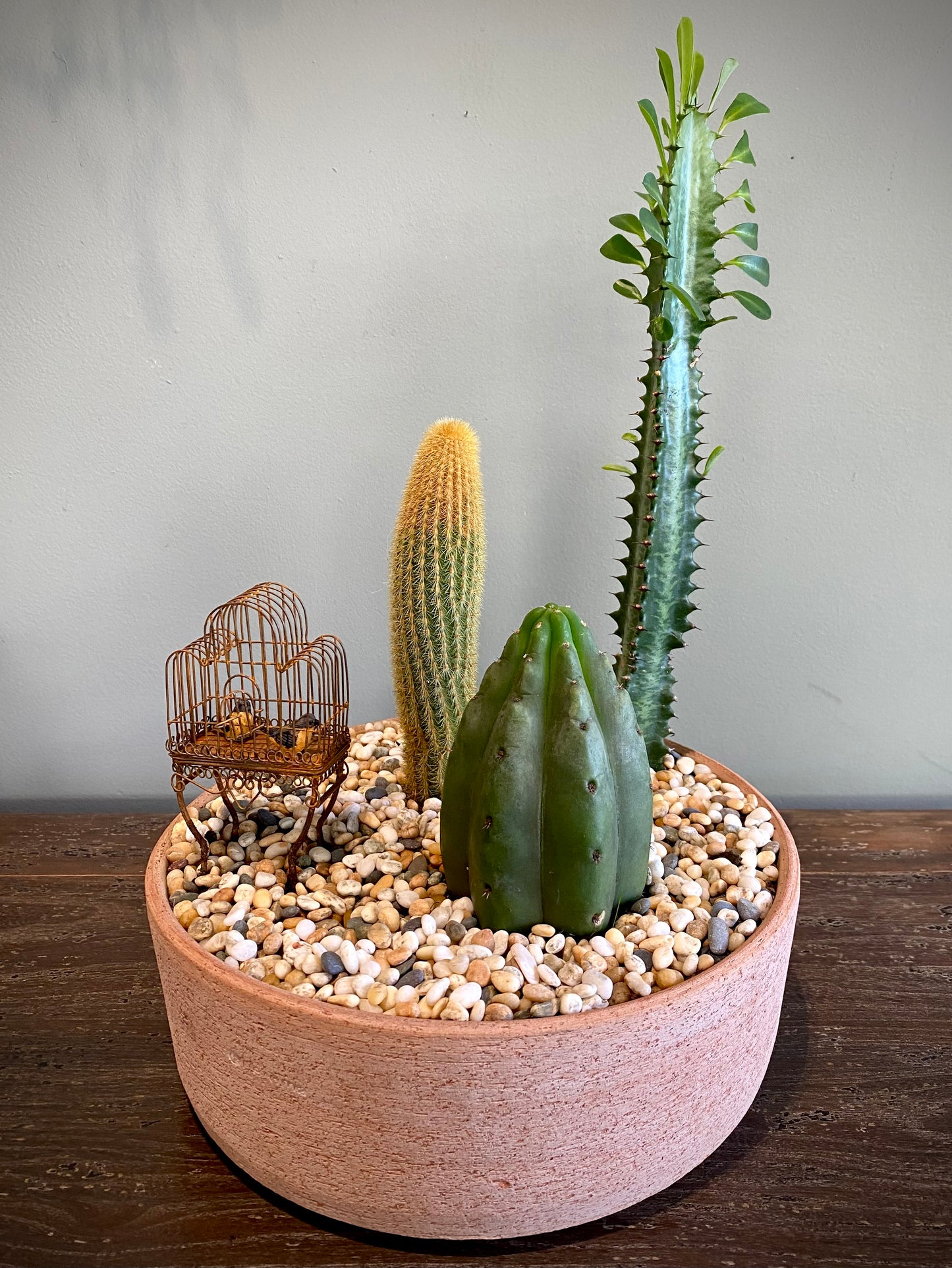 Terracotta Cacti Set