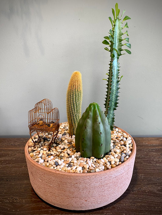 Terracotta Cacti Set