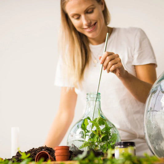 Terrarium Bottle 5L