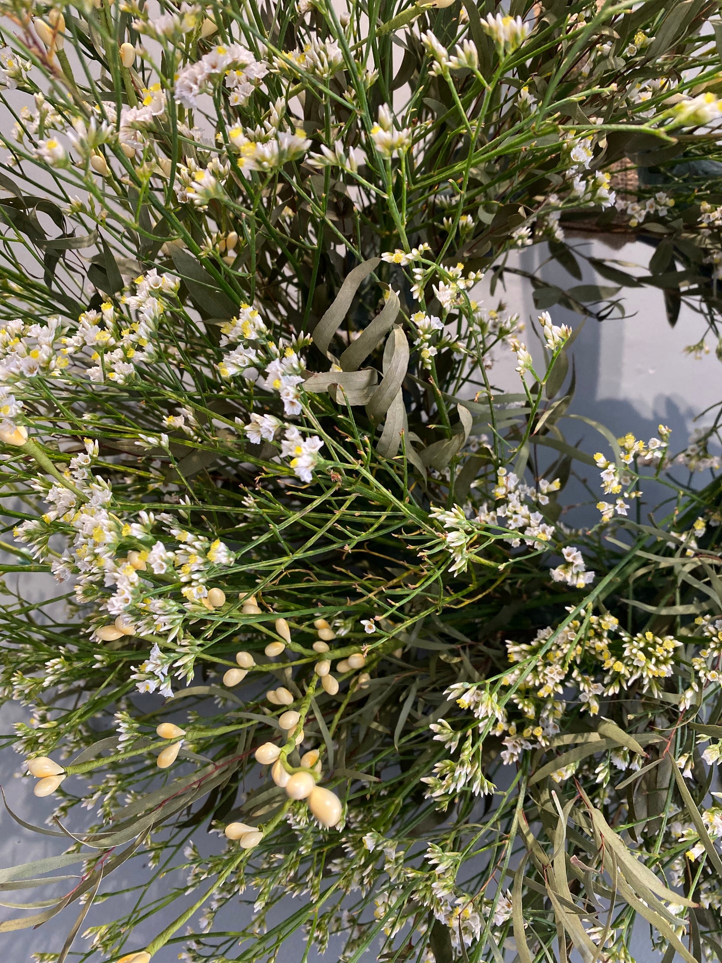 Limonium Wreath XL White/Lemon