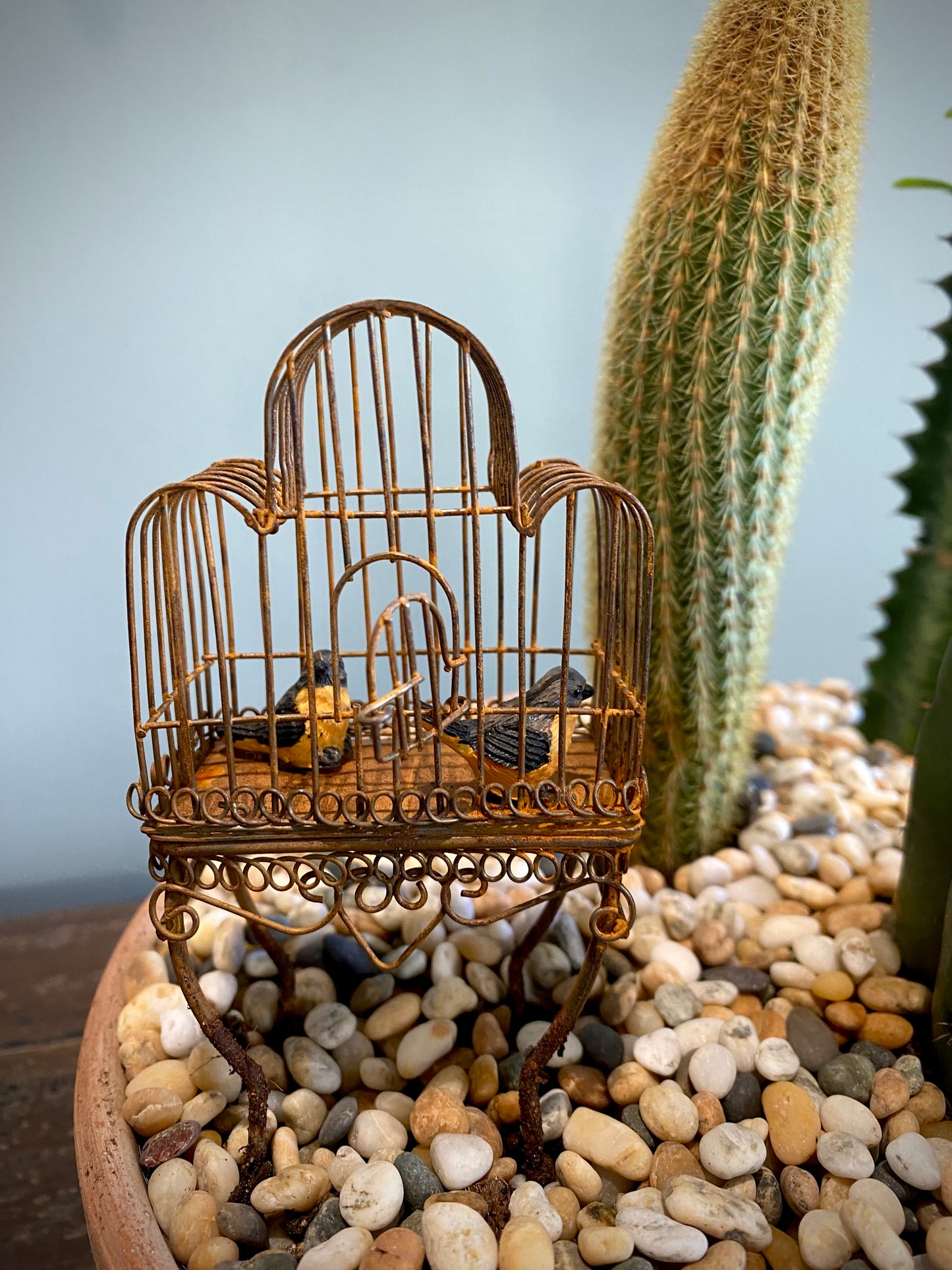 Terracotta Cacti Set