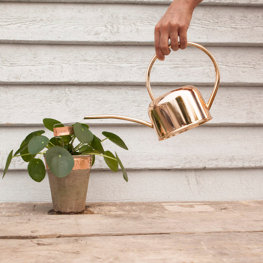 Modern Watering Can