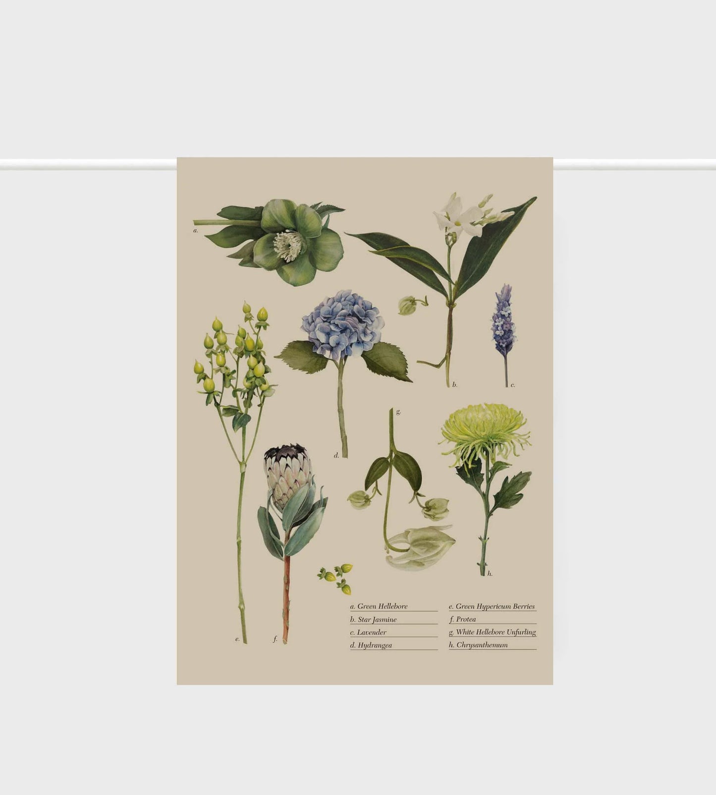 Linen Botanical Tea Towel