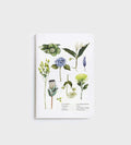 Notebook Softcover