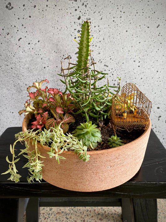 Terracotta Plant Set