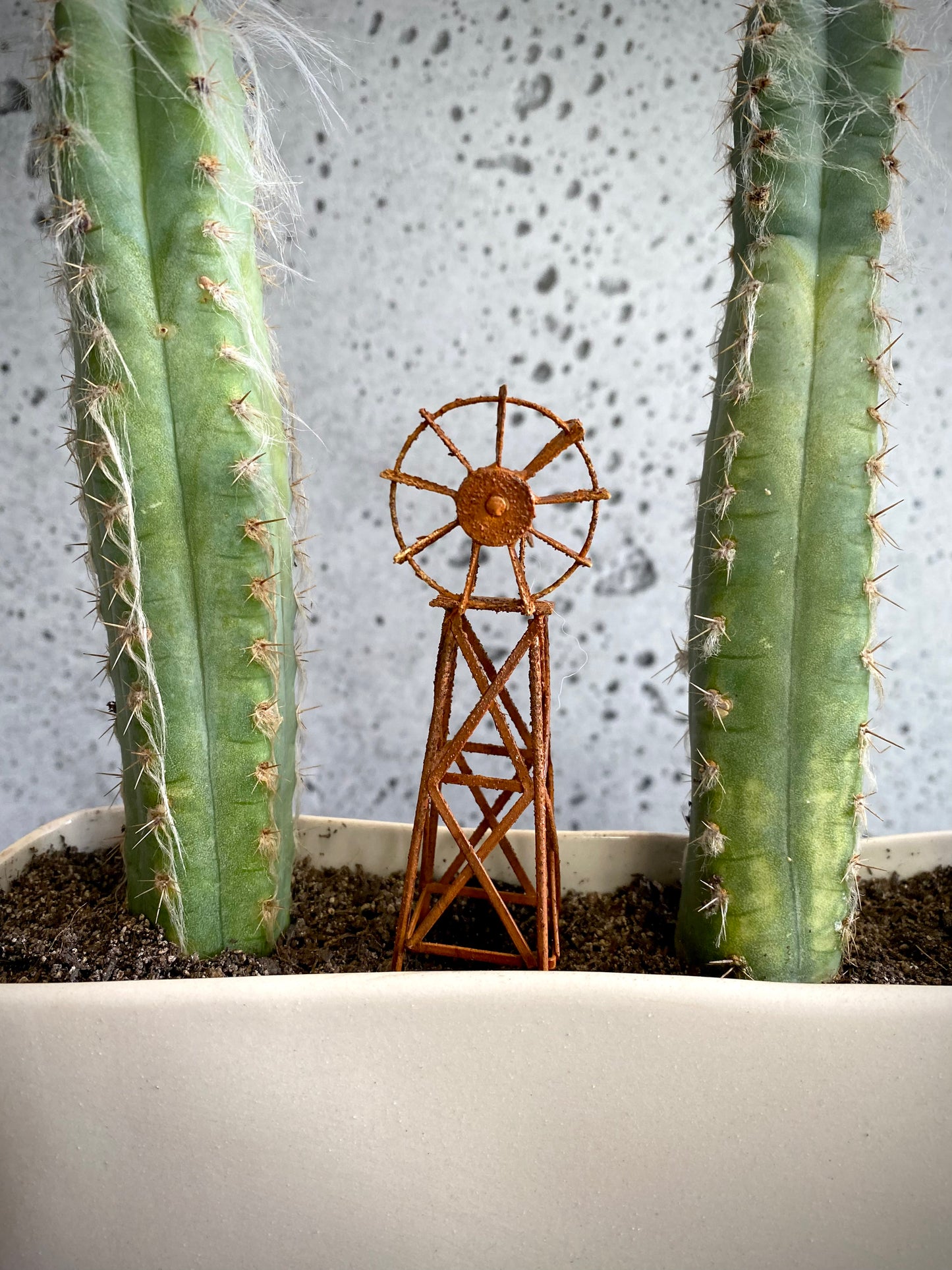 Cacti Set