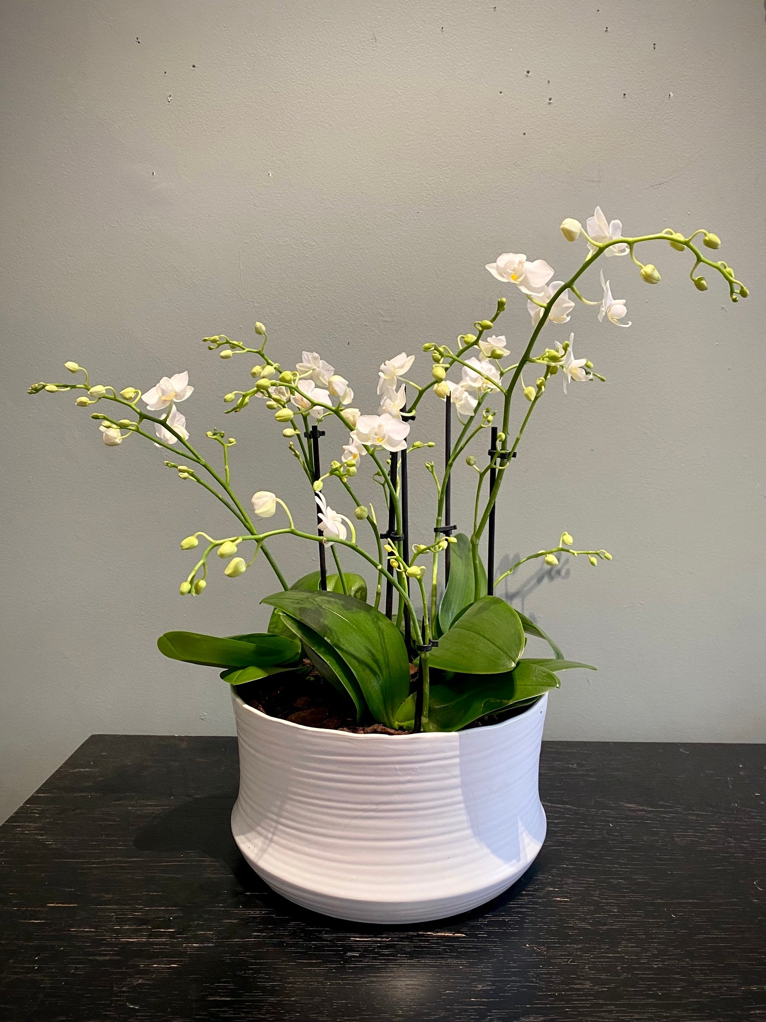 Pot de fleur