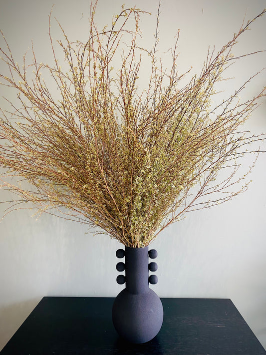 Dried Kanuka foliage in a Vase