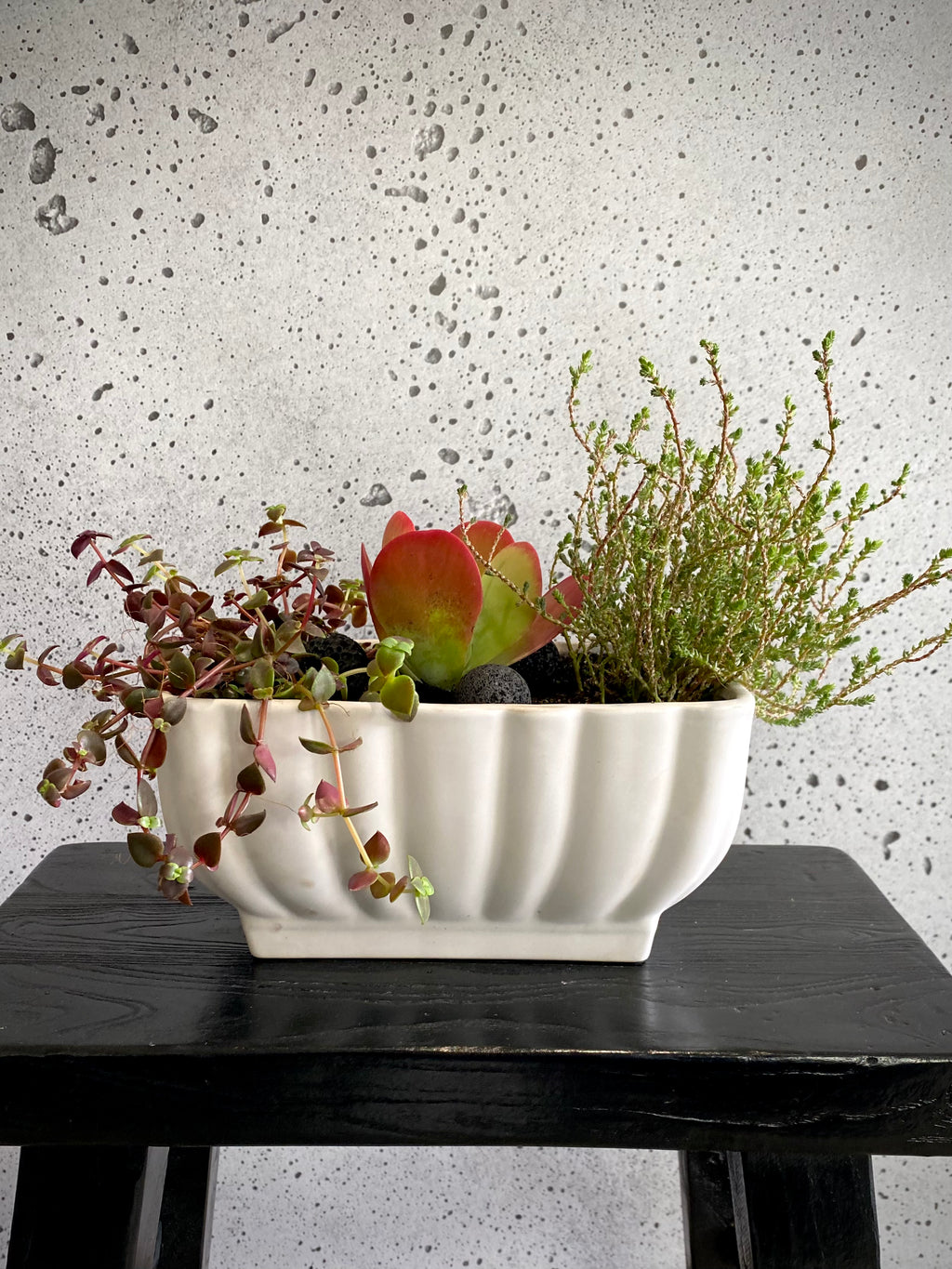 Gretian Plant Set