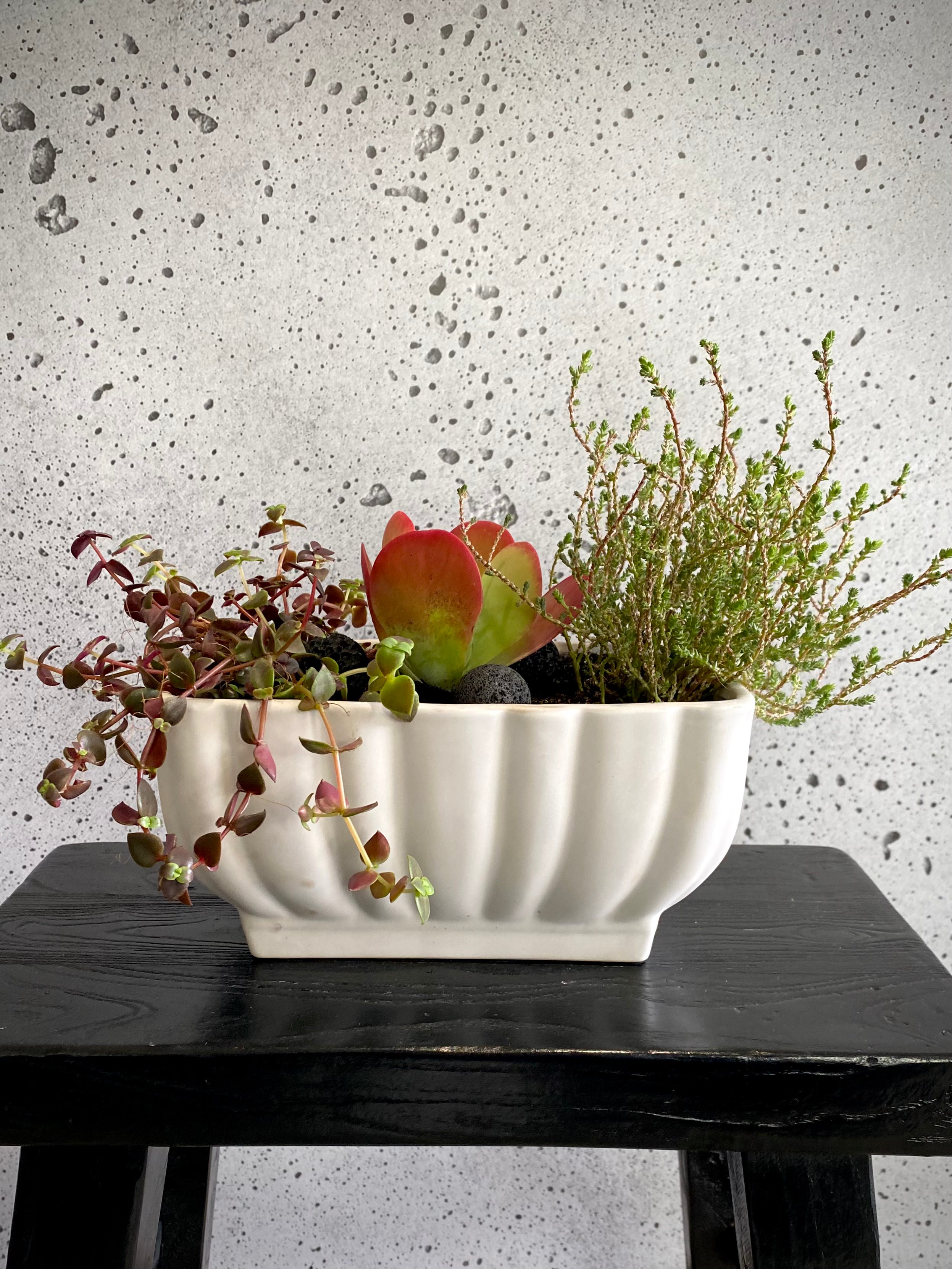 Gretian Plant Set