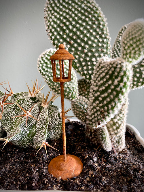 Desert Vignette