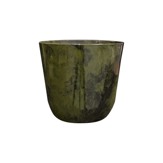 Chinese Evergreen Palemo Set (Large)