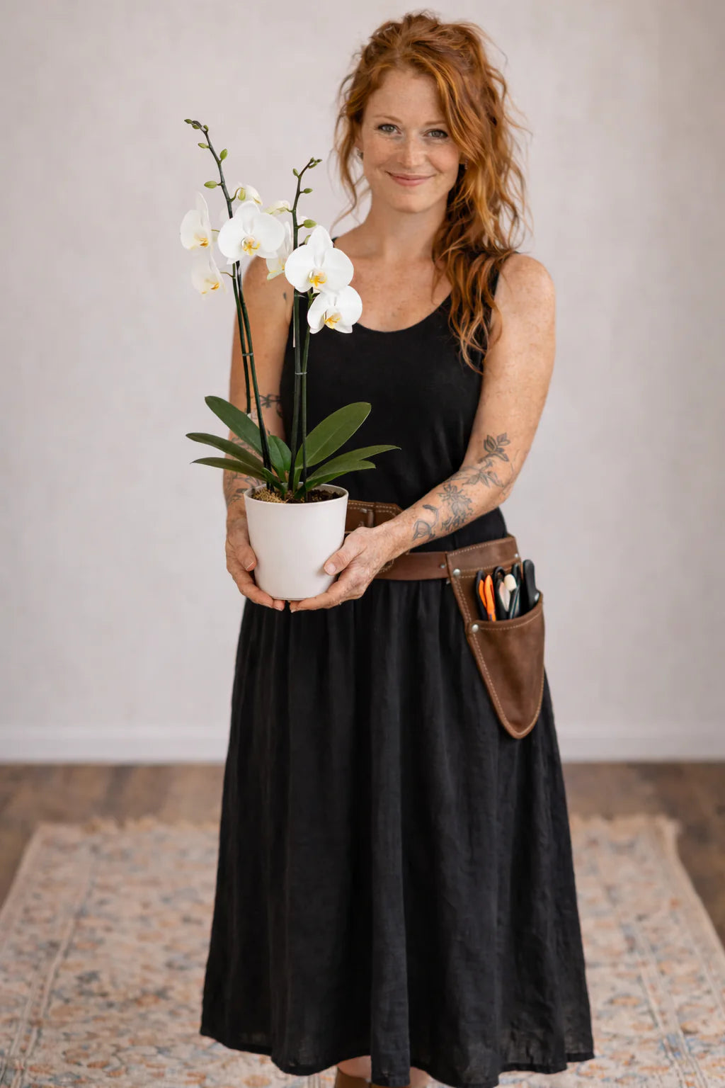 Phalaenopsis Orchid — Elegant Living Gift