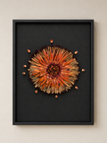 Protea Study