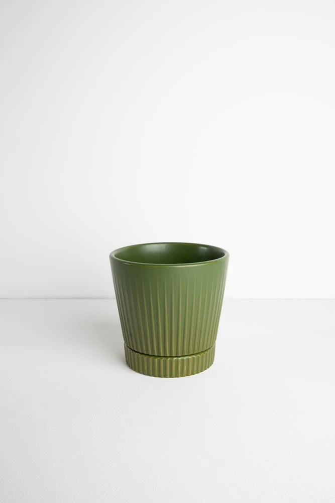 Indie Cover Pot Large