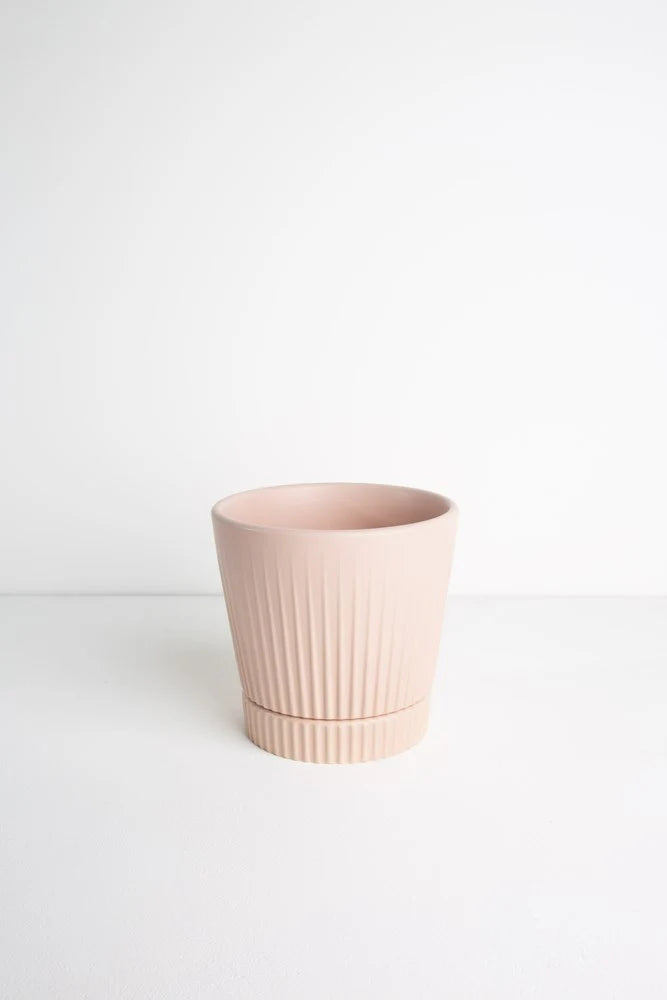 Indie Cover Pot Large