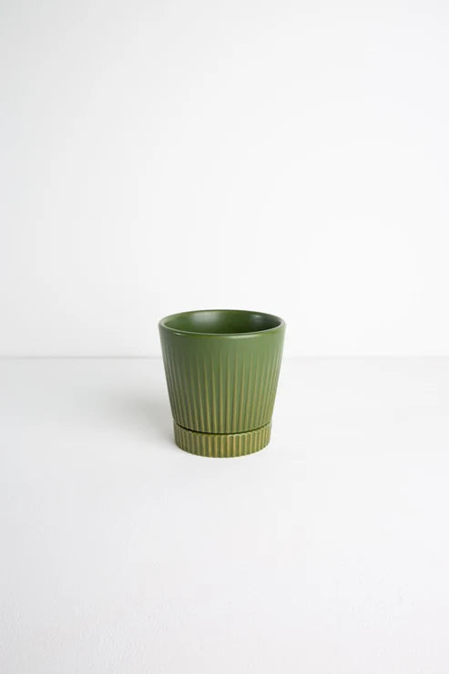 Indie Cover Pot Medium