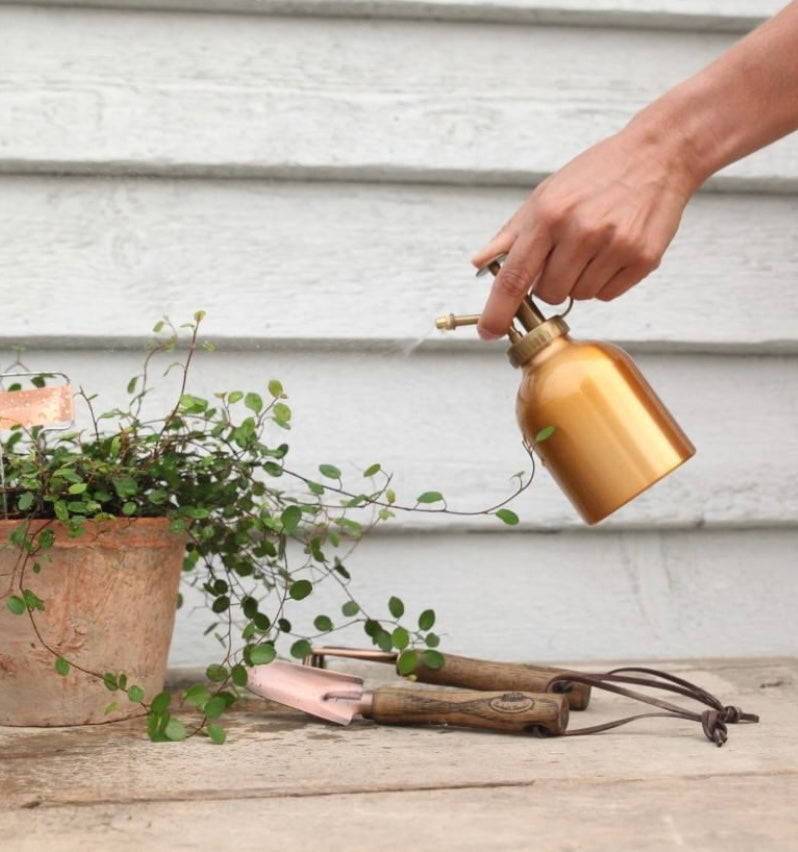 Plant Mister misting a plant