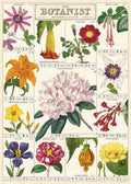 Cavallini Vintage Posters