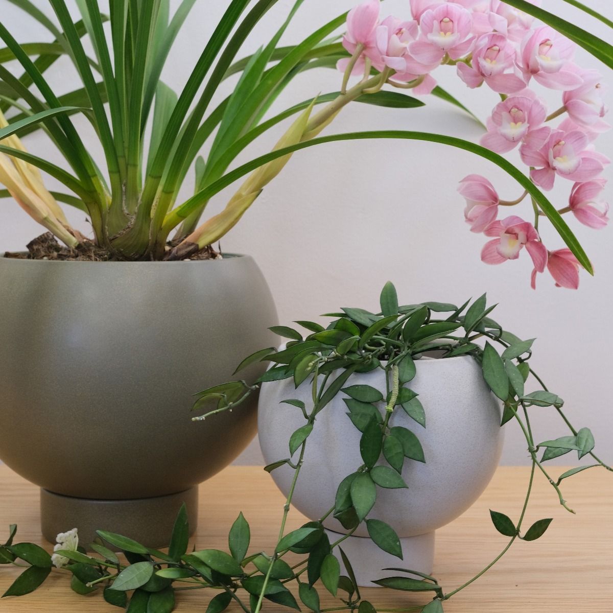 Orbit Planter Small