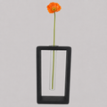 An orange poppy flower in a clear glass test tube vase, set inside a black rectangular frame against a light gray background.