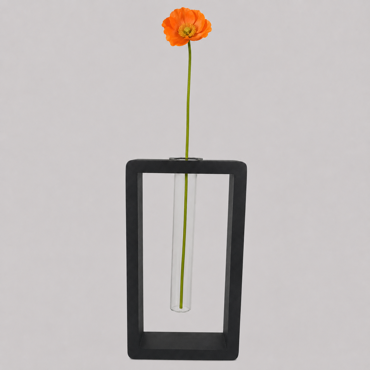 An orange poppy flower in a clear glass test tube vase, set inside a black rectangular frame against a light gray background.