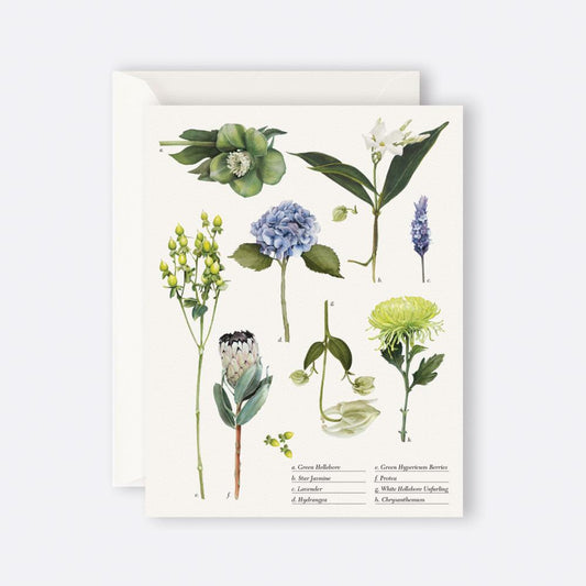 Greeting Card – Botanical Collection