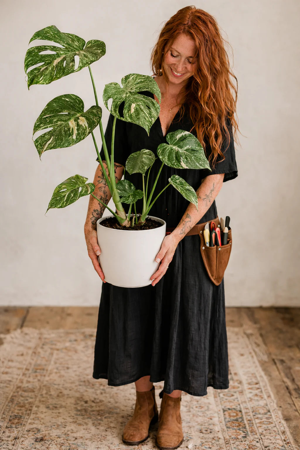 Monstera Thai Constellation — Rare Variegated Beauty