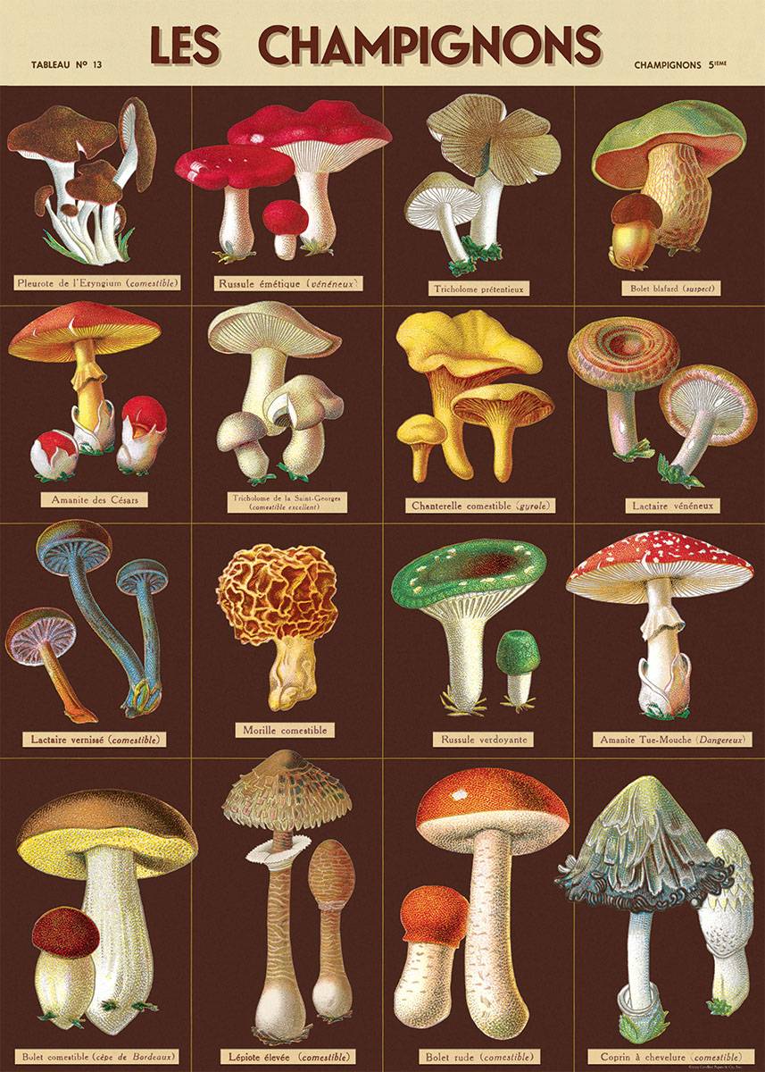 Cavallini Vintage Posters