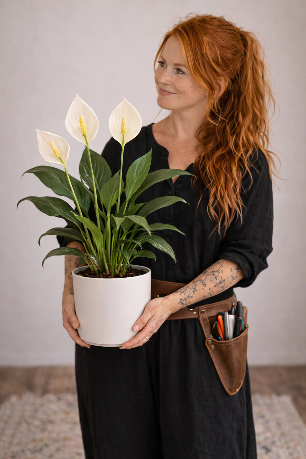 Flowering Peace Lily — Elegant White Bloom