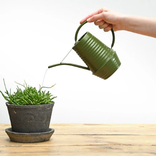Retro Watering Can