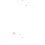 Twig & Bloom Logo